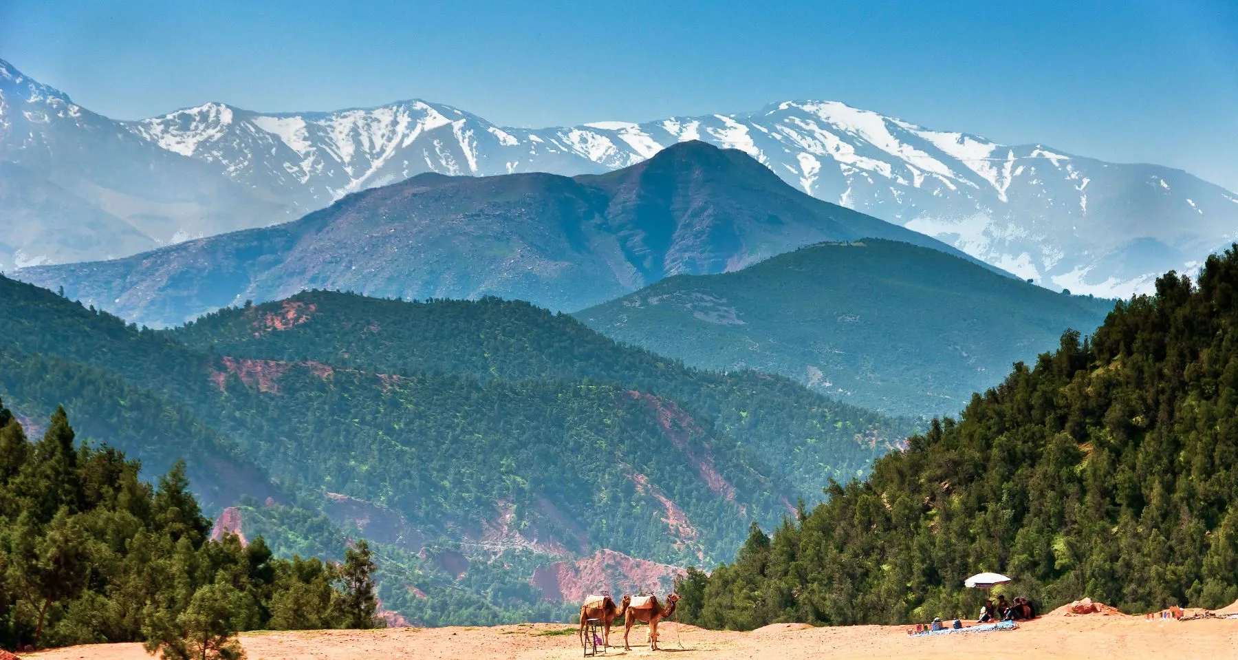 Day Trip to Ourika Valley from Marrakech thumbnail 3
