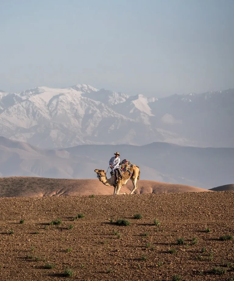 Day Trip to Agafay Desert from Marrakech thumbnail 4